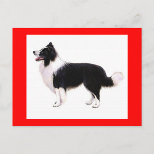 Bonjour chiot Border Collie Carte postale de vœux