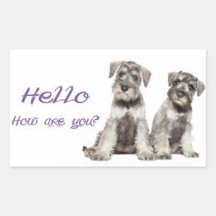 Bonjour chiot Schnauzer miniature étiquette auto