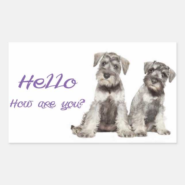 Bonjour chiot Schnauzer miniature  étiquette  auto (Devant)