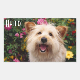 Bonjour chiot Terrier Cairn Autocollants de saluta
