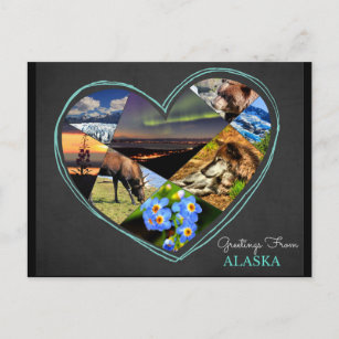 Bonjour de Alaska ♥ Carte postale