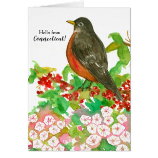 Bonjour de Connecticut American Robin State Bird