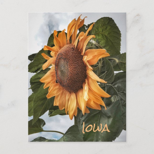 Bonjour De La Carte Postale Iowa (Devant)