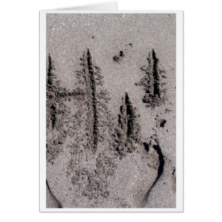 Bonjour ! Écrit en sable de plage de la Floride