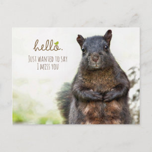 Bonjour, Je Me Manque Votre Carte Postale