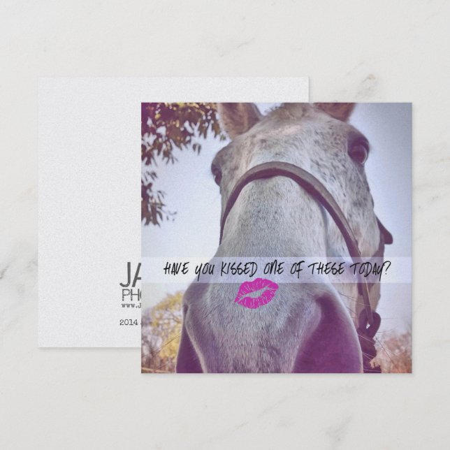 BONJOUR LÀ 5,25 x 5,25 carte (Devant / Derrière)