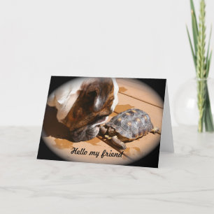 Bonjour ma carte d'ami