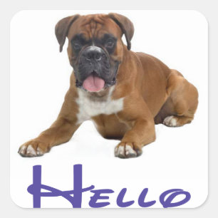 Bonjour / Salut Autocollant de chiot Boxer