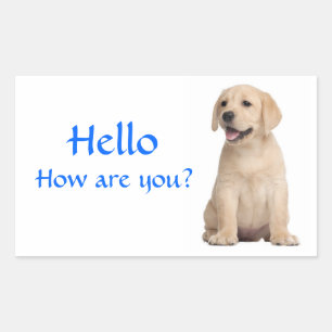 Bonjour / Salut  Autocollants de chiot Labrador Re