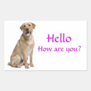 Bonjour / Salut Autocollants de chiot Labrador Ret