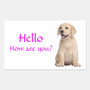 Bonjour / Salut Labrador Retriever Stickers Chien
