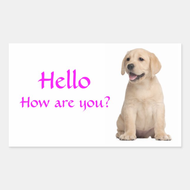 Bonjour / Salut Labrador Retriever Stickers Chien  (Devant)