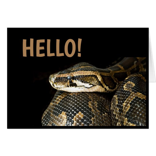 "BONJOUR"/ Serpent, Carte de Vœux Vierge (Devant horizontal)