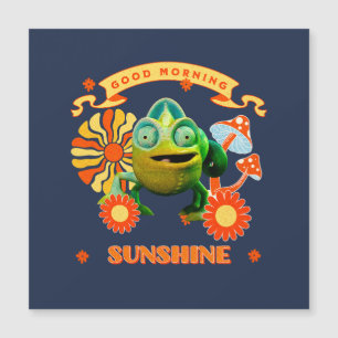 Bonjour Soleil Drôle Caméléon