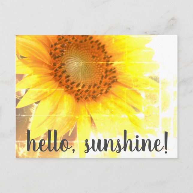 "Bonjour, Sunshine !" Carte postale Tournesol défr (Devant)