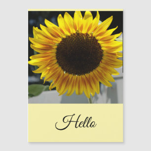 Bonjour Tournesol