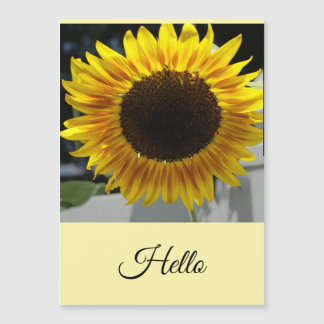 Bonjour Tournesol