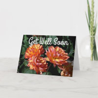Bonne amélioration Bientôt Carte Dahlia Pam Howden