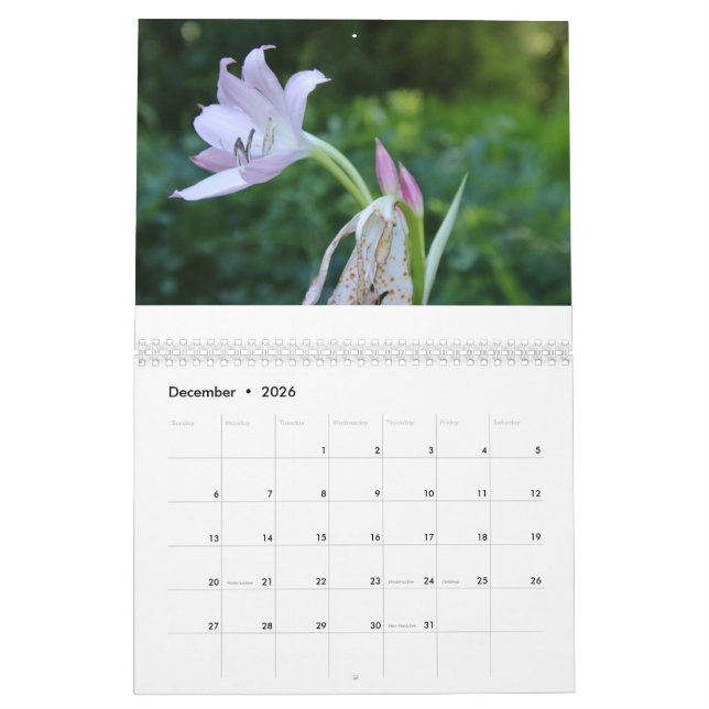 Bonne année Calendrier Année 2025 (Dec 2026)