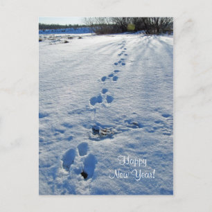 Bonne année Carte postale