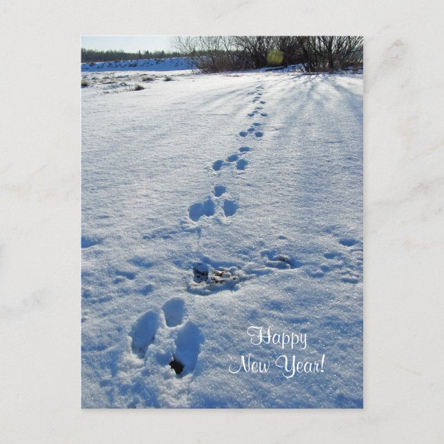 Bonne année Carte postale (Devant)