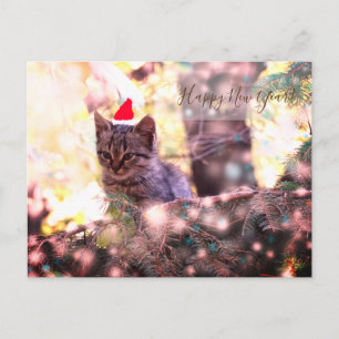 Bonne année Carte postale Kitten
