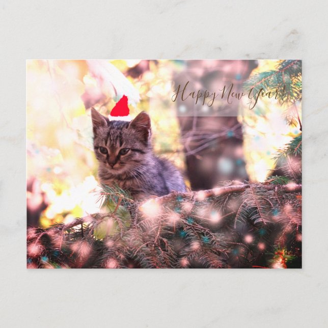 Bonne année Carte postale Kitten (Devant)