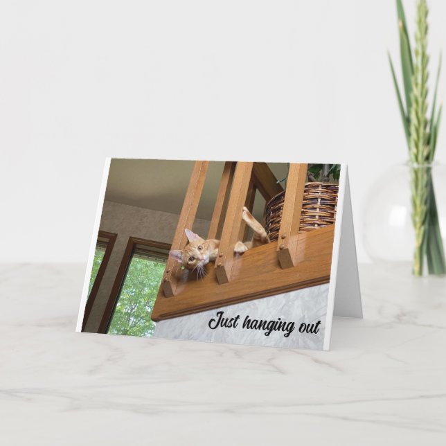 "BONNE ANNÉE" DE LA CARTE DE CHAT QUI SE TIENNENT  (Devant)