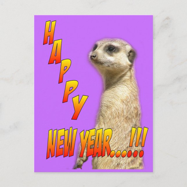 Bonne année Meerkat carte postale (Devant)