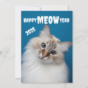 Bonne année MIAOU  Carte de vacances de chat migno