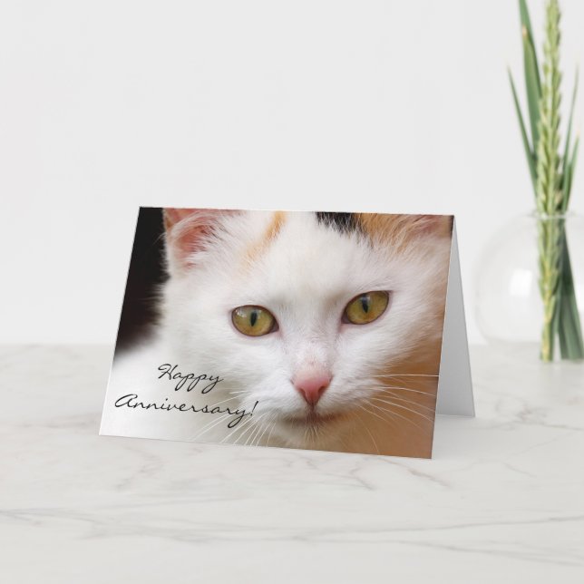 Bonne Anniversaire Carte de voeux chat blanc (Devant)