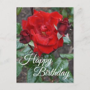 Bonne Anniversaire Crimson Bouquet Rose #1 Carte p