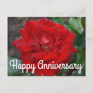 Bonne Anniversaire Crimson Bouquet Rose #3 Carte p