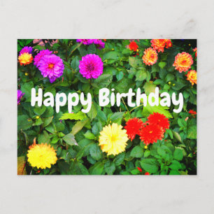 Bonne Anniversaire Diverses Dahlias #1 Carte posta