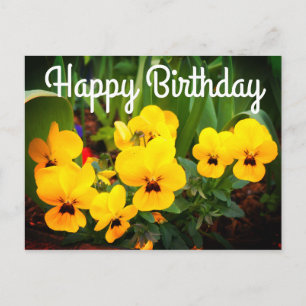 Bonne Anniversaire Pansy Jaune #1 Carte postale