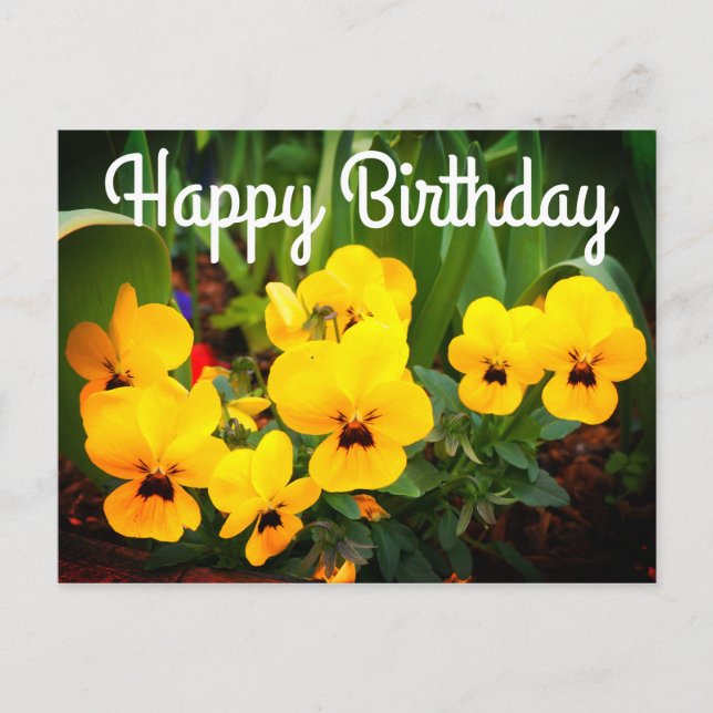 Bonne Anniversaire Pansy Jaune #1 Carte postale (Devant)