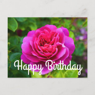 Bonne Anniversaire Princesse Anne Rose #1 Carte po
