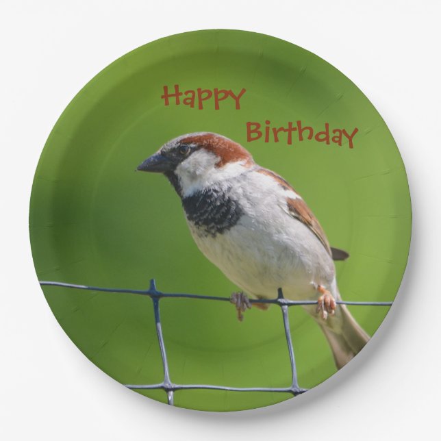 Bonne assiette d'oiseaux naissantes (Devant)