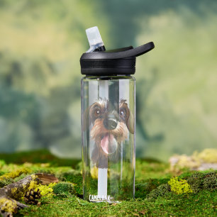 Bonne bouteille d'eau À poils durs Dachshund