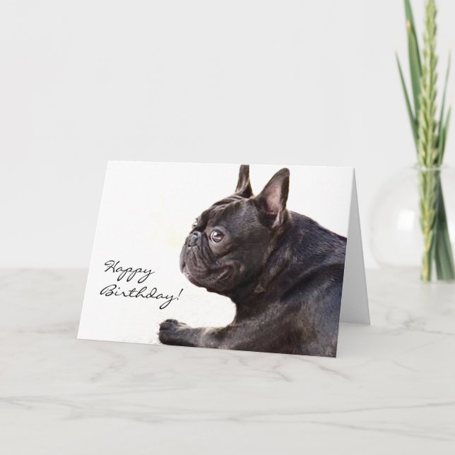 Bonne carte Bulldog Française pour anniversaire (Devant)