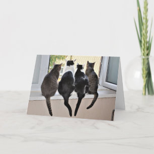 Bonne carte d'Amoureux des chats d'anniversaire