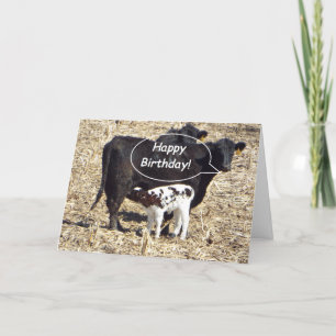 Bonne carte d'anniversaire à la vache drôle