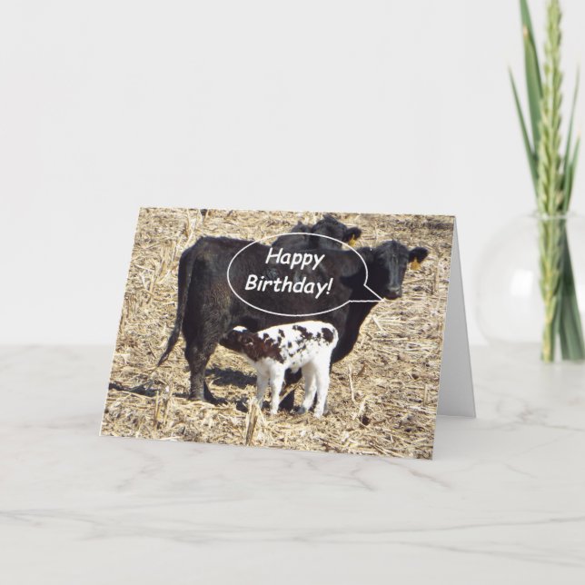 Bonne carte d'anniversaire à la vache drôle (Devant)