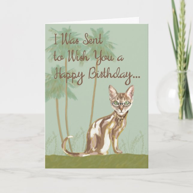 Bonne carte d'anniversaire avec chat, humoristique (Devant)