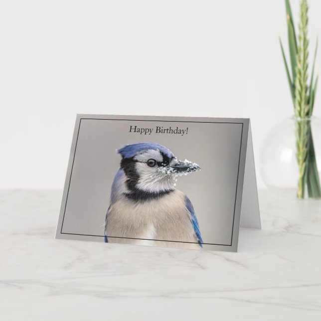 Bonne carte d'anniversaire Blue Jay (Devant)