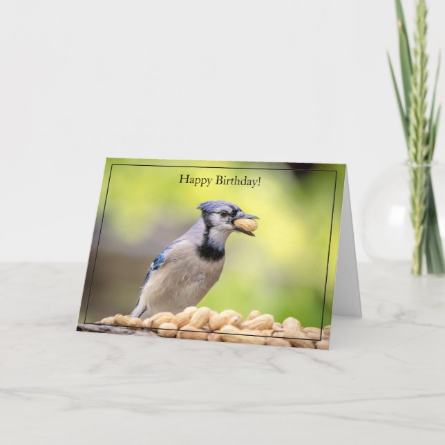 Bonne carte d'anniversaire Blue Jay (Devant)