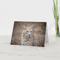 Bonne carte d'anniversaire Bobcat