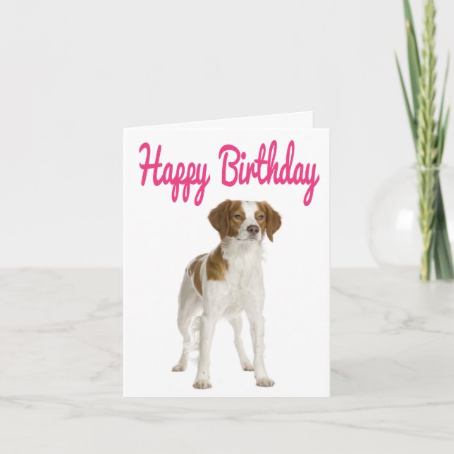 Bonne carte d'anniversaire Brittany Spaniel Chien  (Devant)