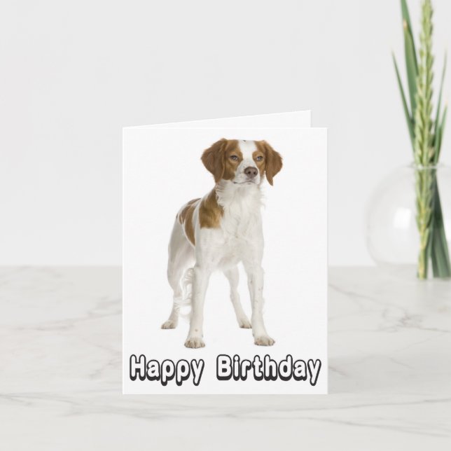 Bonne carte d'anniversaire Brittany Spaniel Chien  (Devant)