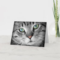Bonne carte d'anniversaire : Chat dit "Oh !"